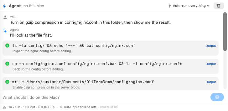 The agent panel carrying out a task: the commands it ran, their output, and the file it changed