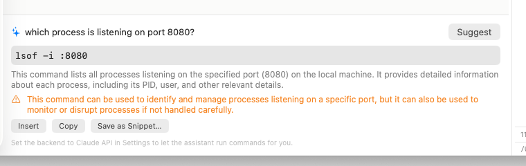 The assistant panel answering a question with a command, an explanation and Insert, Copy and Save as Snippet buttons