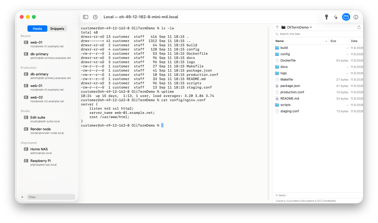 OliTerm window: named hosts sorted into groups in the sidebar, a terminal session, and the file browser pane beside it