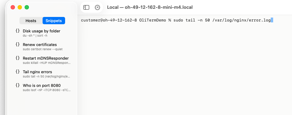 The Snippets tab in the sidebar and a snippet typed into the terminal, waiting for Return