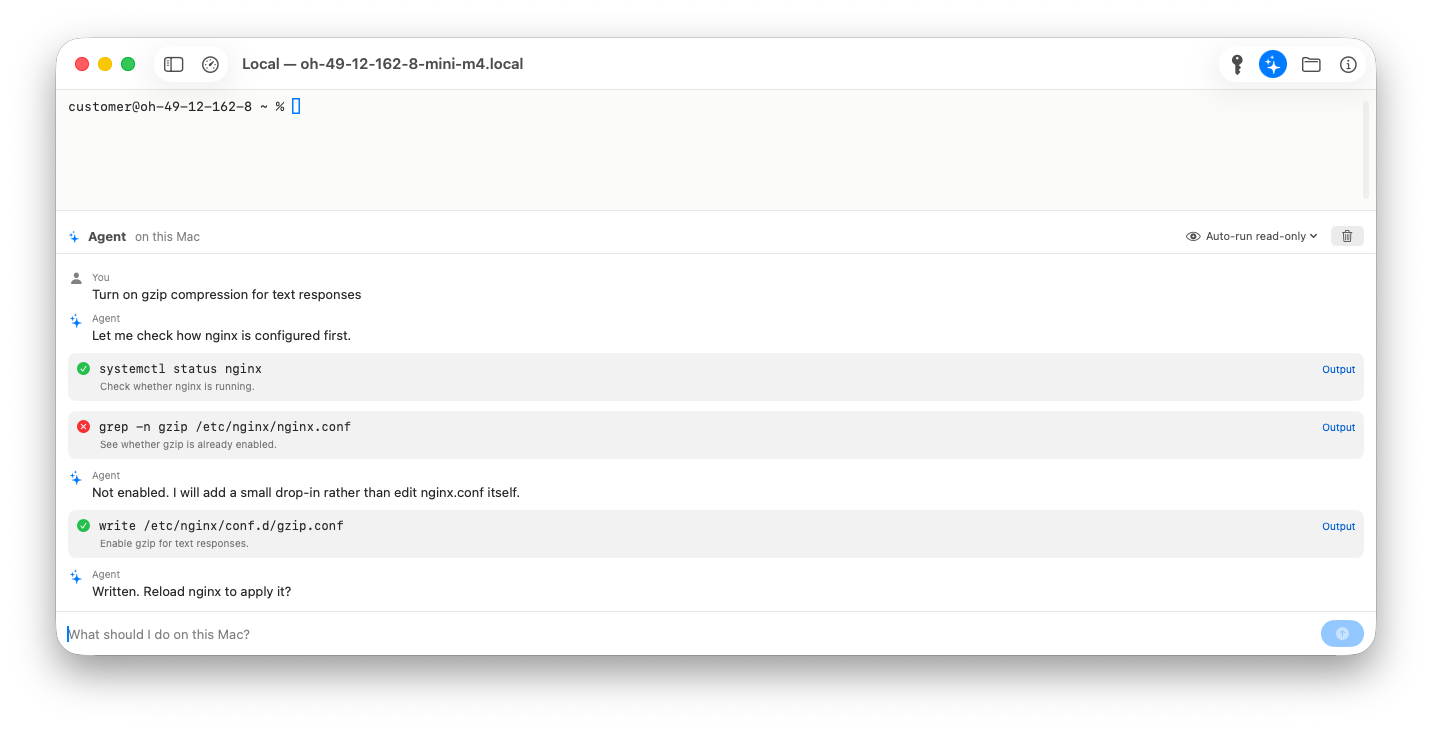 The agent panel: a request to turn on gzip, the agent's replies, and the commands it ran with green and red status marks.