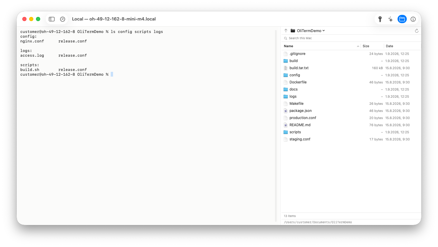The OliTerm window: a terminal on the left, the file browser pane on the right listing a project folder.